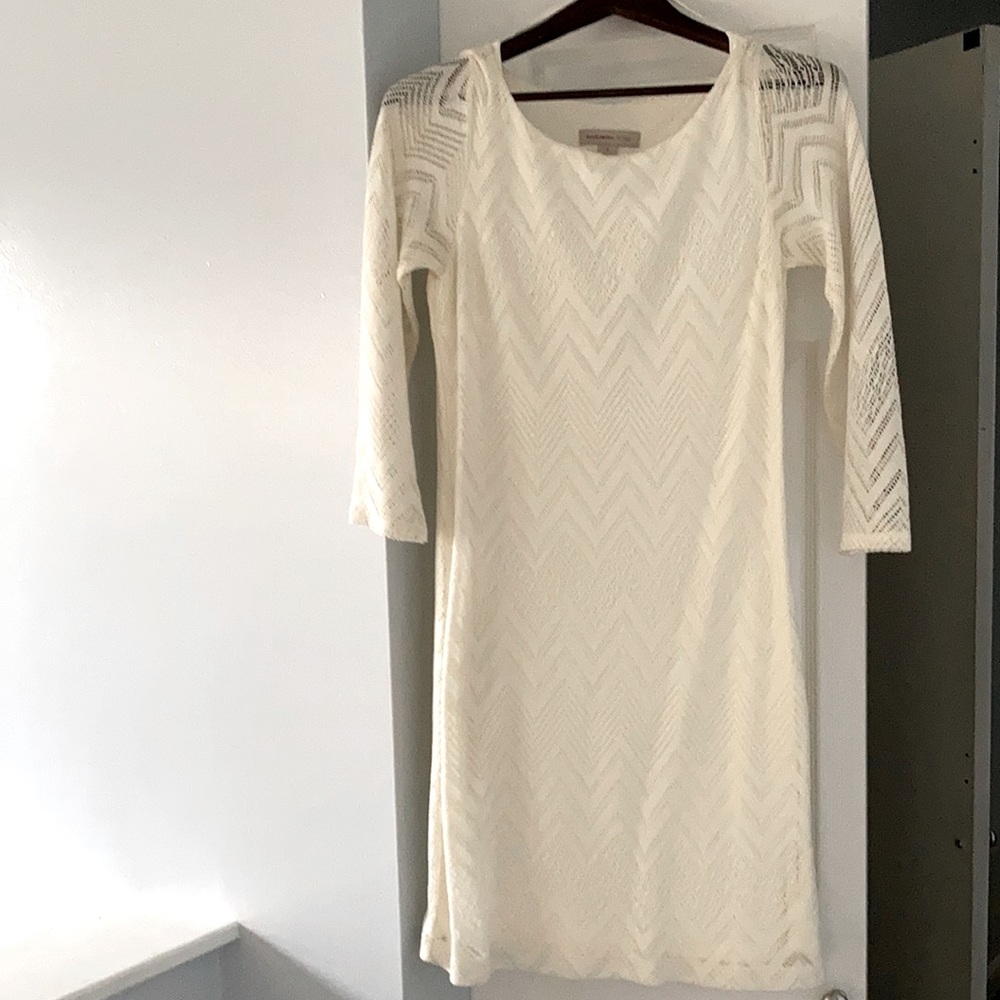 Banana Republic vintage chevron lace dress